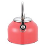 Tetera-Con-Recubrimiento-Color-2-5Lts-15-21910