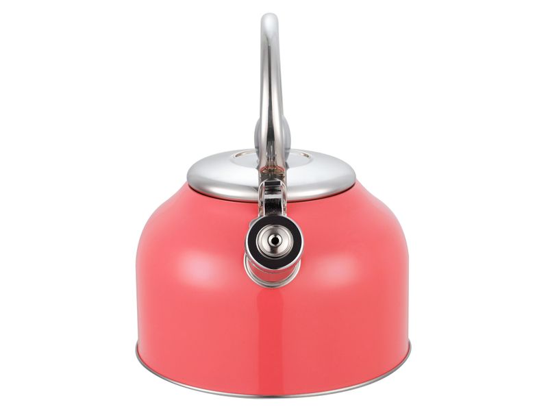 Tetera-Con-Recubrimiento-Color-2-5Lts-15-21910