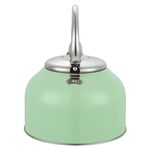 Tetera-Con-Recubrimiento-Color-2-5Lts-16-21910