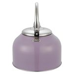 Tetera-Con-Recubrimiento-Color-2-5Lts-17-21910