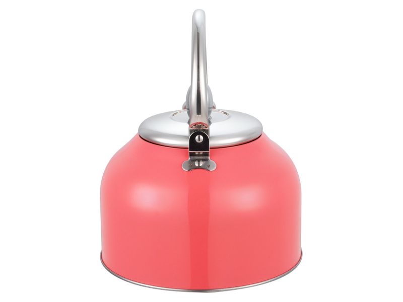 Tetera-Con-Recubrimiento-Color-2-5Lts-18-21910