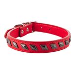 Collar-Ol-Roy-Perro-1Ea-1-21422