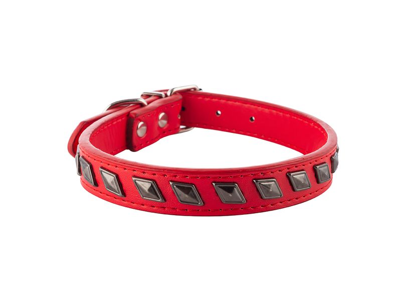 Collar-Ol-Roy-Perro-1Ea-1-21422