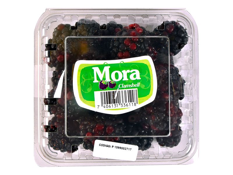 Mora-Clamshell-170gr-1-14610