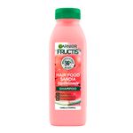 Hair-Food-Shampoo-Garnier-Fructis-Sand-a-Revitalizante-300ml-2-23575