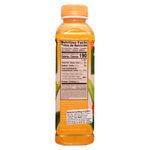 Bebida-Aloe-Vera-King-Mango-Okf-500Ml-2-3083