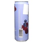 Botran-Vip-Berries-Lata-350Ml-3-24012