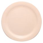 Plato-Principal-B-Best-Melamine-1-23088