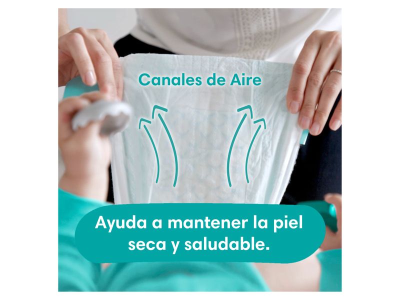 Pa-ales-Desechables-Pampers-Baby-Dry-Talla-5-112-Unidades-6-4762