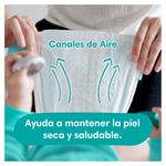 Pa-ales-Pampers-Baby-Dry-Talla-5-39-Unidades-5-4727