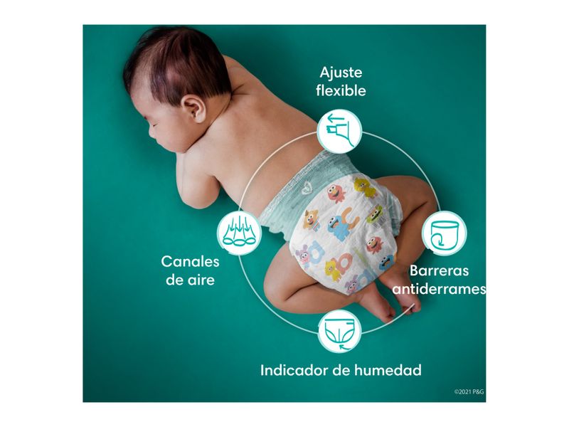 Pa-ales-Pampers-Baby-Dry-Talla-5-39-Unidades-6-4727