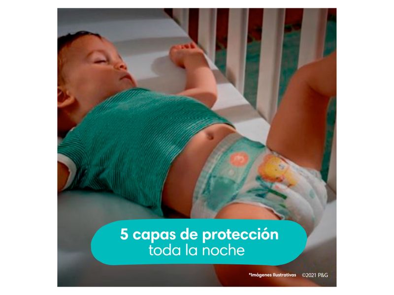 Pa-ales-Pampers-Baby-Dry-Talla-5-39-Unidades-8-4727