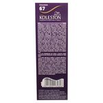 Tinte-Koleston-Single-67-Chocolate-55Gr-4-5940