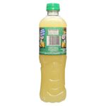 Super-Salud-Juoo-Coco-Pina-Pet-500Ml-2-14853