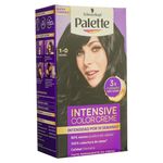 Tinte-Palette-Cc-1-0-Negro-110G-2-21660