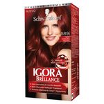 Tinte-Igora-Brillance-589I-Rojo-Borgo-1-15425