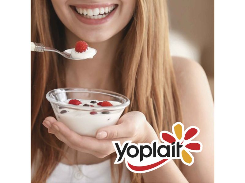 4-Pack-Yogurt-Topping-Yoplait-508gr-2-24345