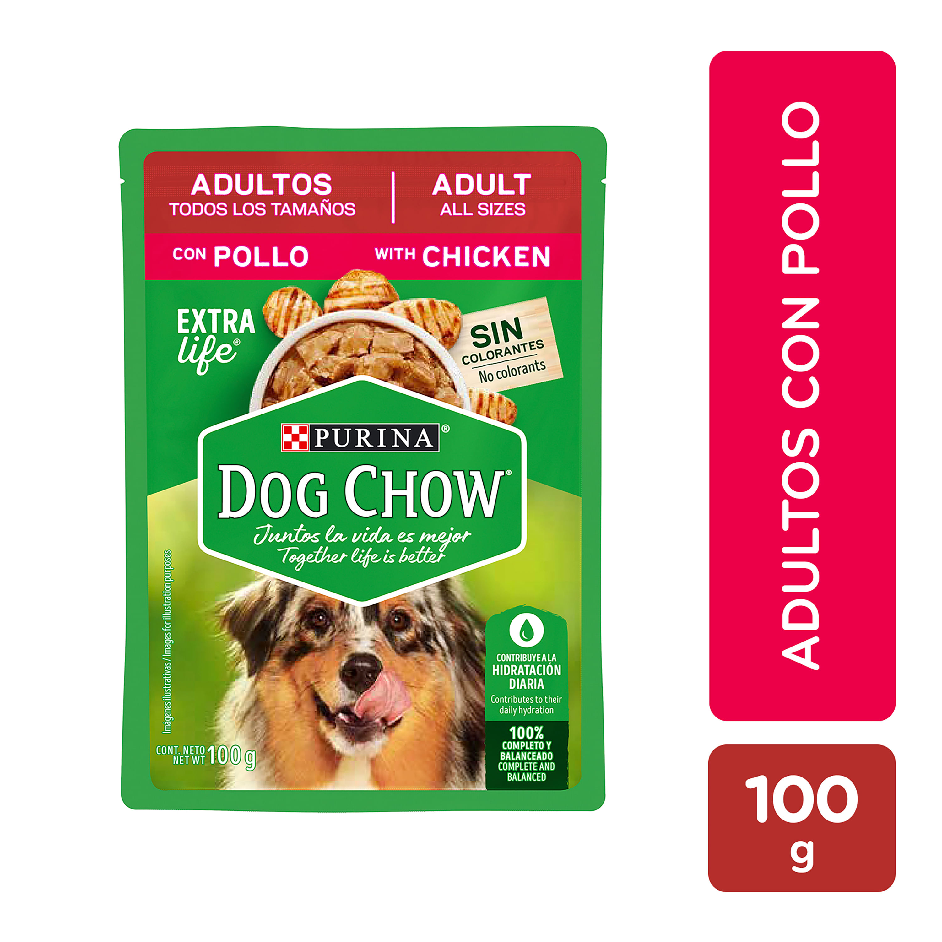 Purina-Dog-Chow-perro-Adulto-Pollo-100g-3-5oz-1-4139