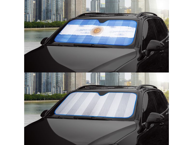 Tapasol-Auto-Drive-Bandera-Argentina-3-27687