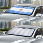 Tapasol-Auto-Drive-Bandera-Argentina-4-27687