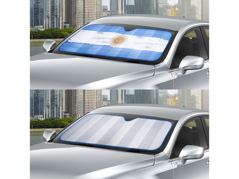 Tapasol-Auto-Drive-Bandera-Argentina-4-27687