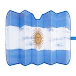 Tapasol-Auto-Drive-Bandera-Argentina-6-27687