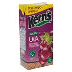 Nectar-Marca-Kern-s-De-Uva-1Lt-2-31526