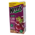 Nectar-Marca-Kern-s-De-Uva-1Lt-3-31526