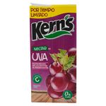 Nectar-Marca-Kern-s-De-Uva-1Lt-5-31526