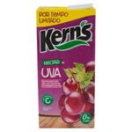 Nectar-Marca-Kern-s-De-Uva-1Lt-1-31526