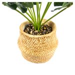 Planta-artificial-marca-Mainstays-Green-con-maceta-2-30751