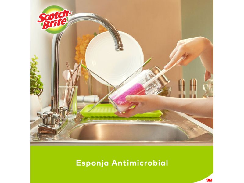 Limpiador-de-Botellas-Scotch-Brite-x-1-und-5-6791