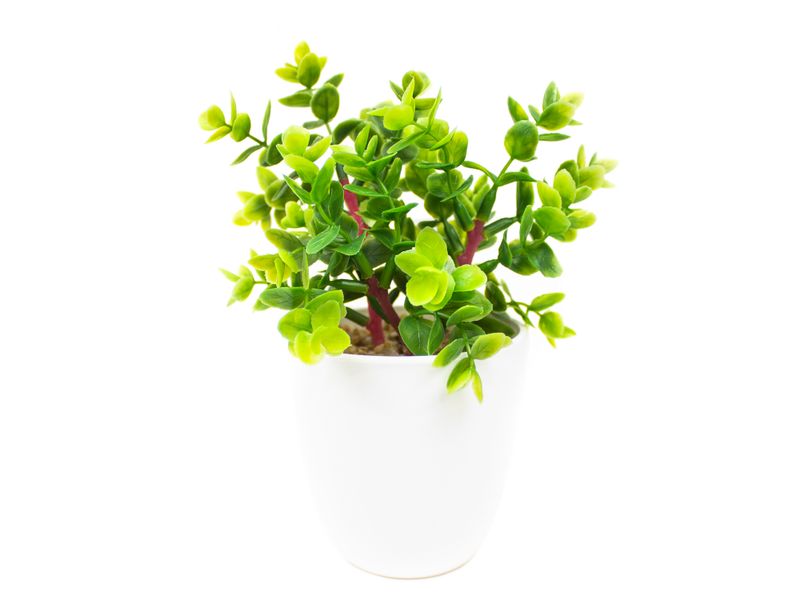 Planta-artificial-marca-Mainstays-Green-con-maceta-8-30752
