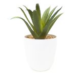 Planta-artificial-marca-Mainstays-Green-con-maceta-9-30752