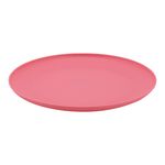 Plato-pl-stico-marca-Mainstays-100-polipropileno-10-5-pulgadas-2-32828