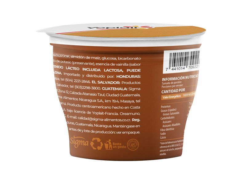 Dulce-De-Leche-Yoplait-100Gr-5-3903