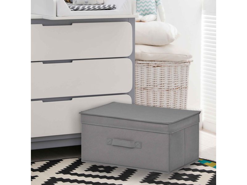Cubo-Organizador-Con-Tapa-3-30595