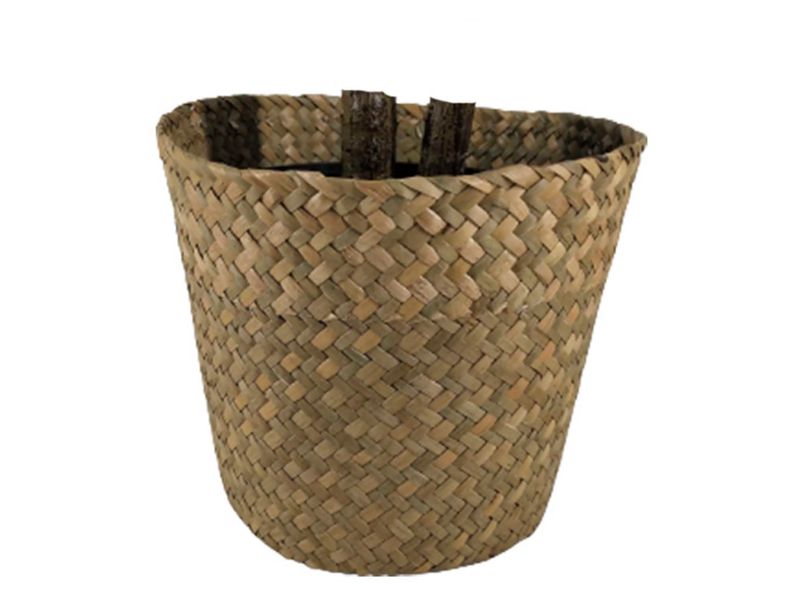 Ms-Planta-Hojas-Mediana-Con-Canast-120Cm-2-30575