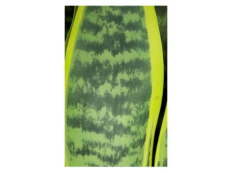 Ms-Planta-Artificial-40Cm-3-30586