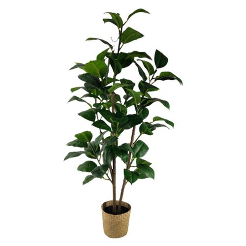 Mainstays Planta Hojas Mediana Con Canast 120 cm