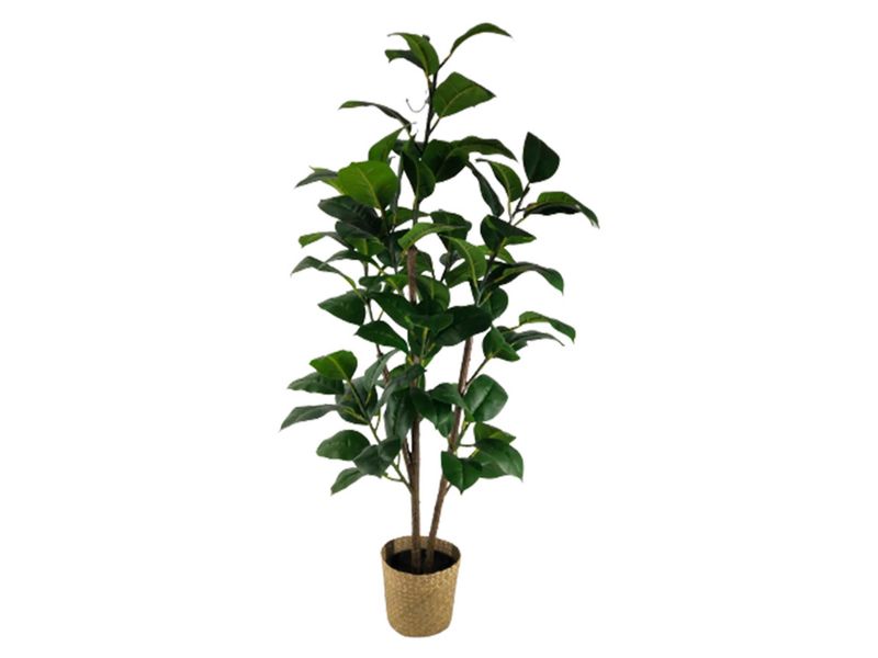 Ms-Planta-Hojas-Mediana-Con-Canast-120Cm-1-30575