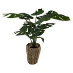 Ms-Planta-Tipo-Palma-Cn-Canas-Alta-111Cm-1-30576