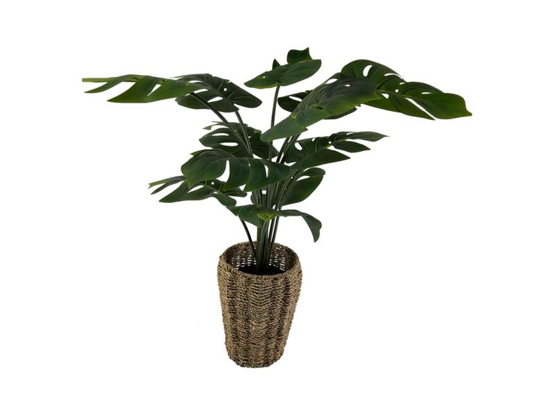 Ms-Planta-Tipo-Palma-Cn-Canas-Alta-111Cm-1-30576