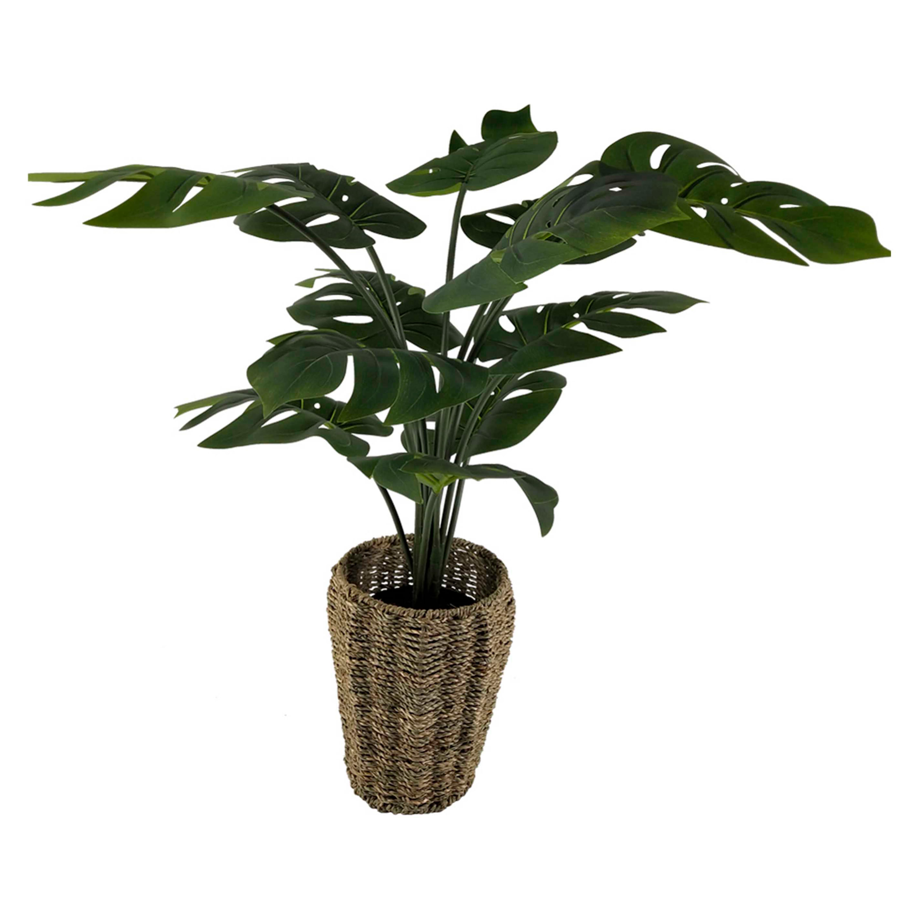 Ms-Planta-Tipo-Palma-Cn-Canas-Alta-111Cm-1-30576
