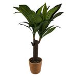 Ms-Planta-Tipo-Pony-Con-Canasta-80Cm-1-30578