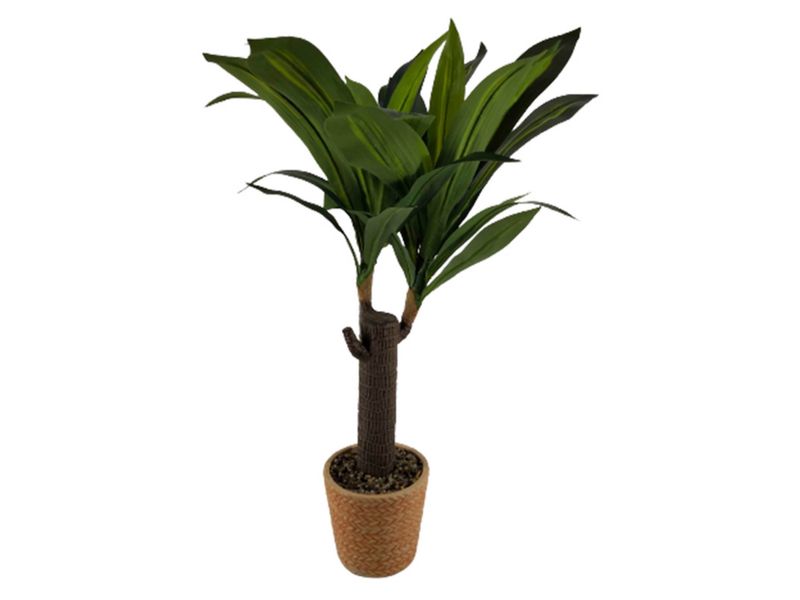 Ms-Planta-Tipo-Pony-Con-Canasta-80Cm-1-30578