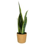 Ms-Planta-Artificial-40Cm-1-30586