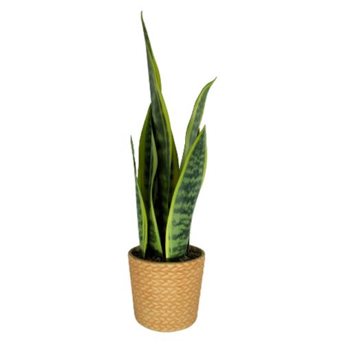 Mainstays Planta Artificial 40 cm