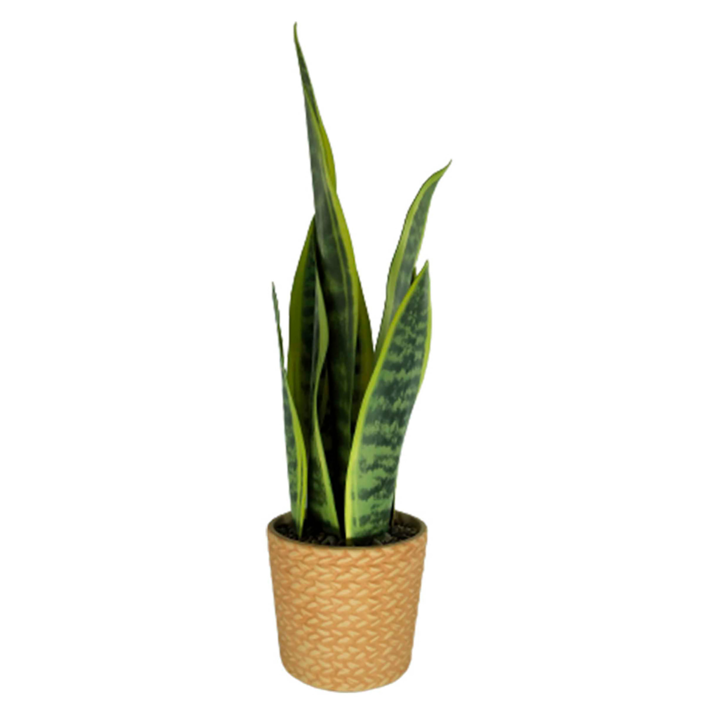 Ms-Planta-Artificial-40Cm-1-30586