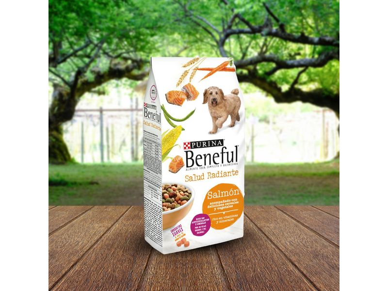 Alimento-Perro-Adulto-marca-Purina-Beneful-Salud-Radiante-Salm-n-2kg-7-1931